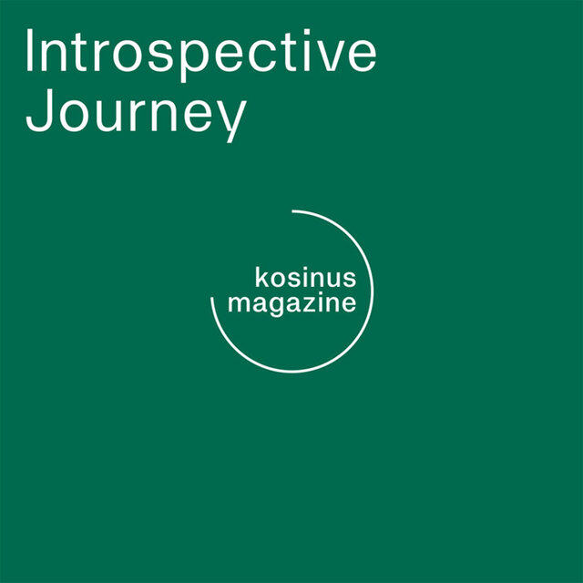 Introspective Journey