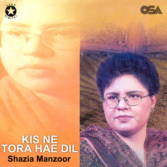 Kis Ne Tora Hae Dil