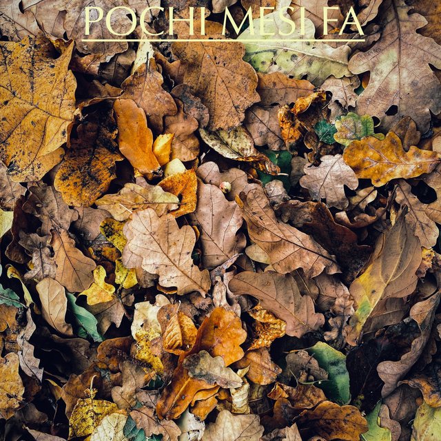 Pochi mesi fa