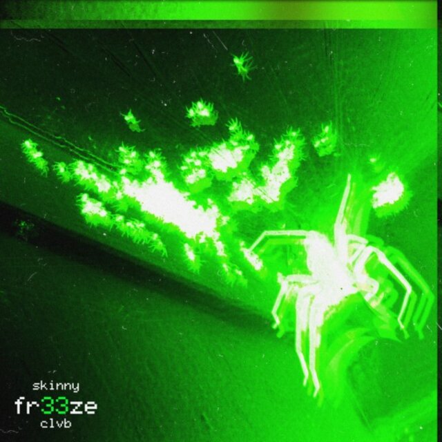 Fr33Ze