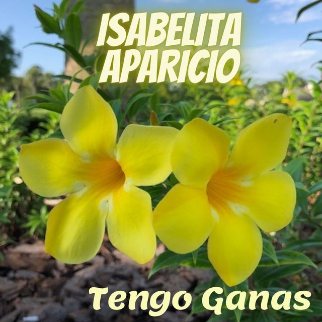 Tengo Ganas