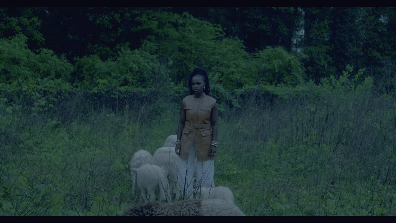 All We Like Sheep