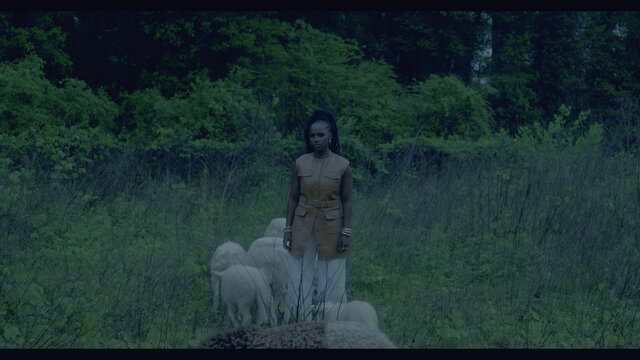All We Like Sheep