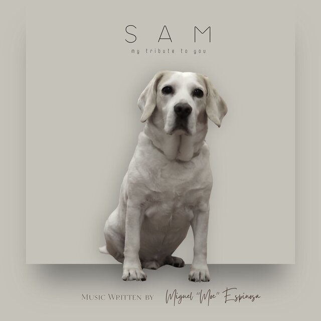 Sam - My Tribute to You