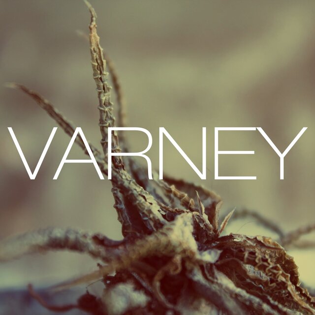 Varney
