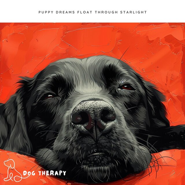 Puppy Dreams Float Through Starlight
