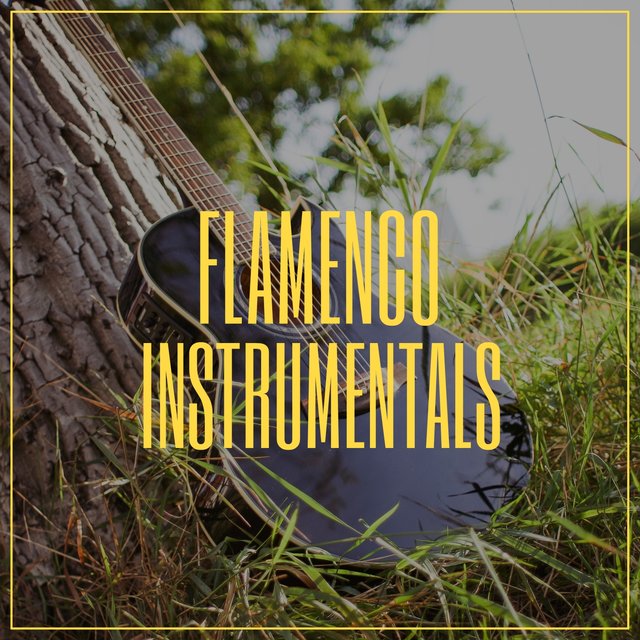 Flamenco Instrumentals