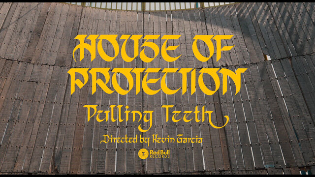 Pulling Teeth