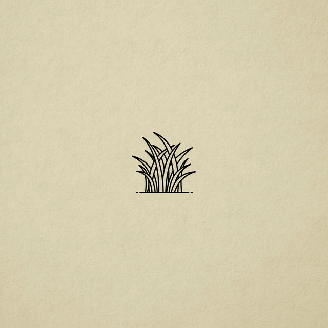 Still (shadow)