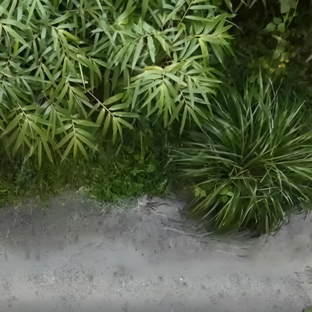 Rural Rain Sound