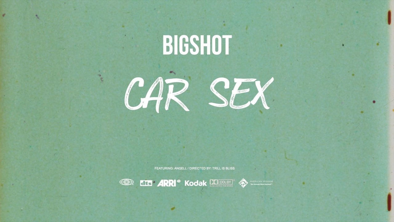 Car Sex