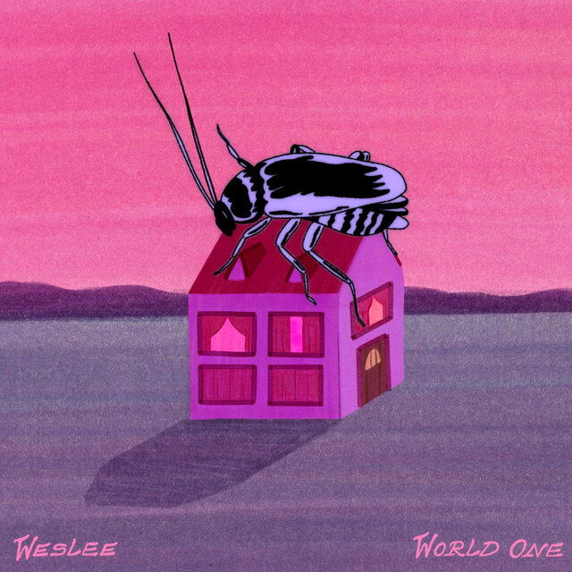 Weslee World 1
