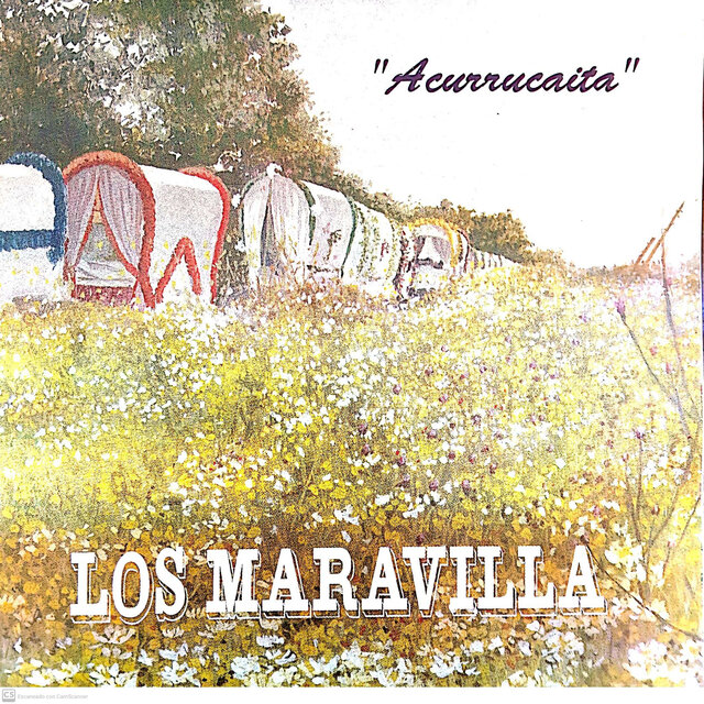 Acurrucaita