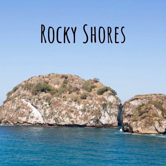 Rocky Shores