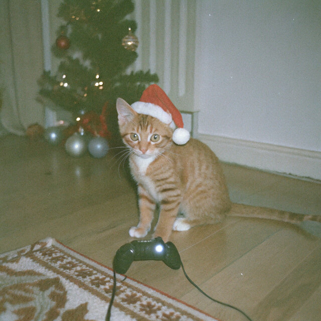 Brand New Xmas
