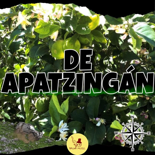 De Apatzingan (En vivo)