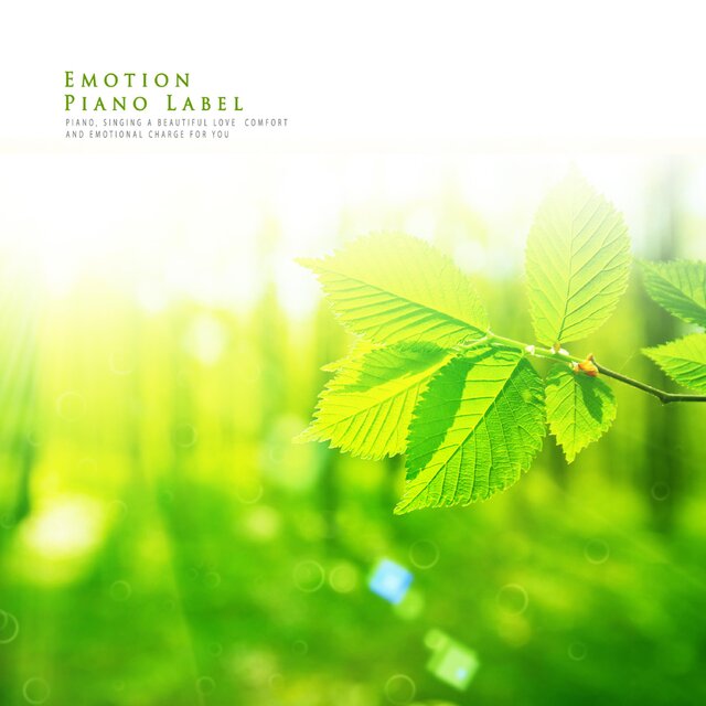 Lie In The Field (Nature Ver.)