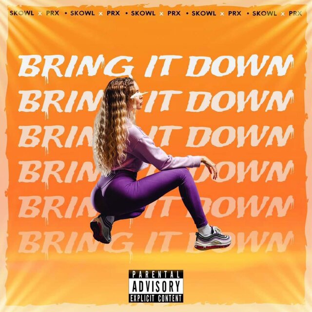 BRING IT DOWN (feat. SKOWL & MJT Studio Records)