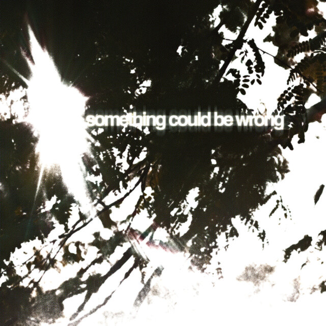 Something Could Be Wrong