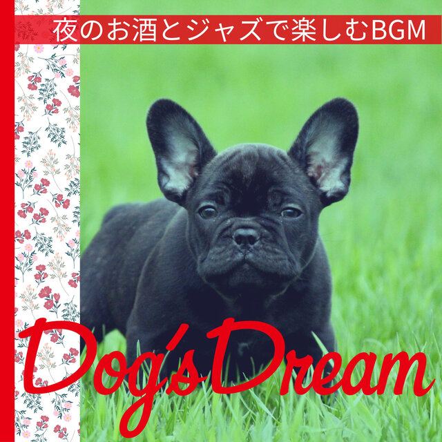 夜のお酒とジャズで楽しむBGM