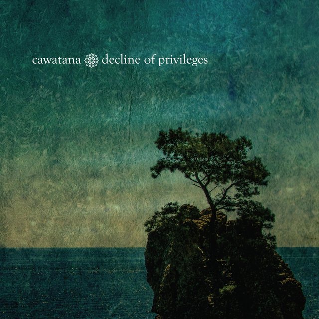 Decline of Privileges