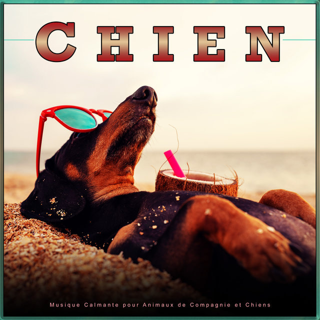 Chien : Musique Calmante pour Animaux de Compagnie et Chiens