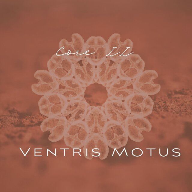 Core II - Ventris Motus