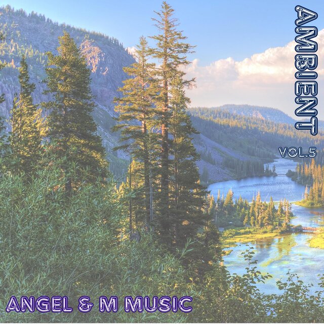 AMBIENT, Vol. 5
