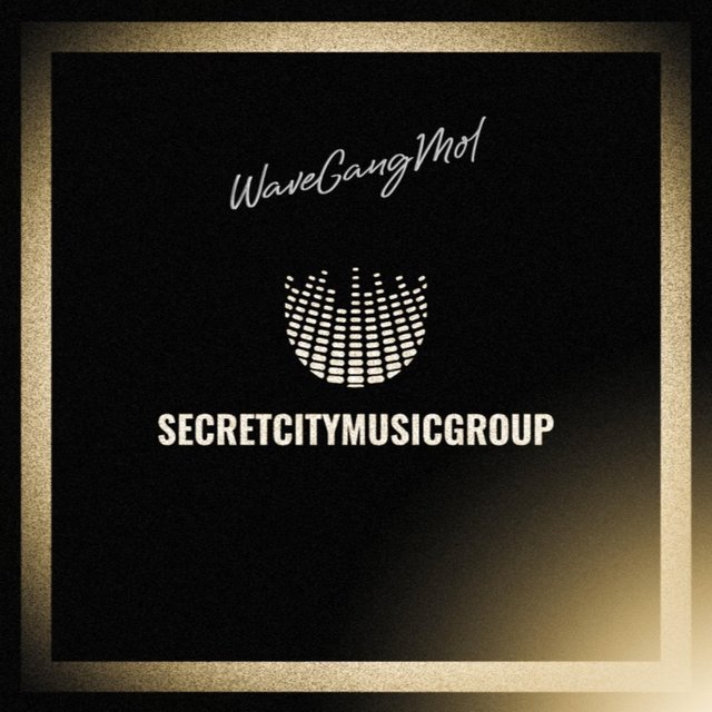 Secretcitymusicgroup