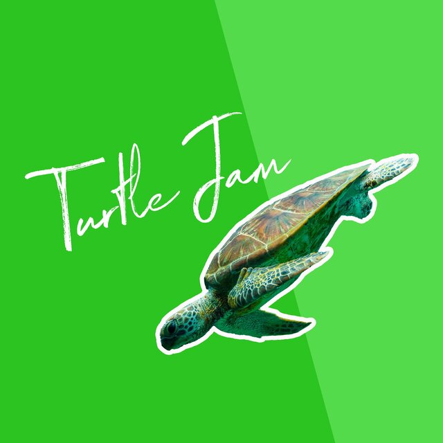 Turtle Jam 4