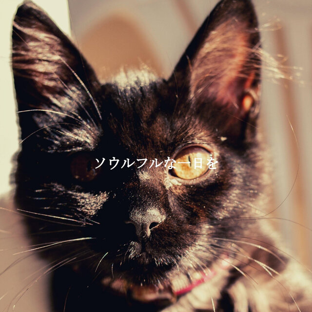 ソウルフルな一日を