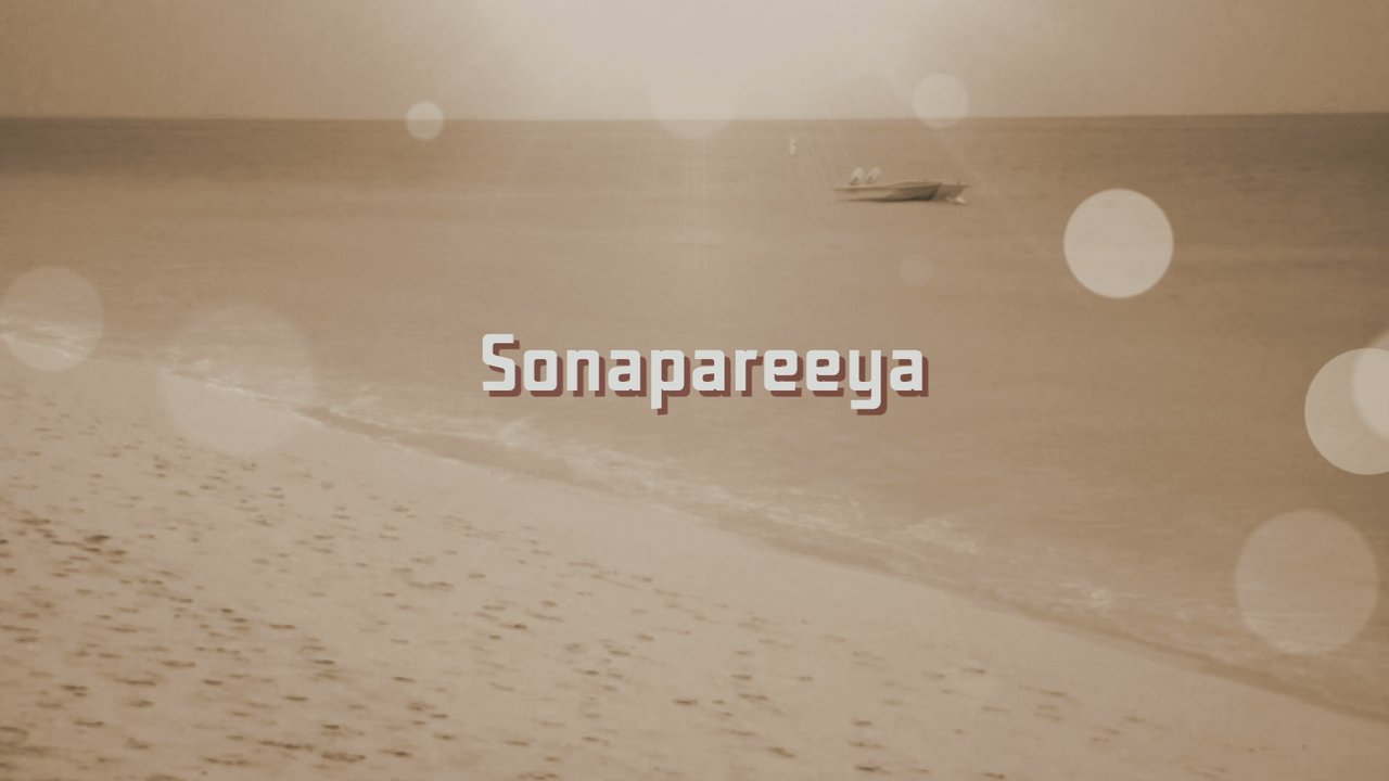 Sonapareeya (Lyric Video)