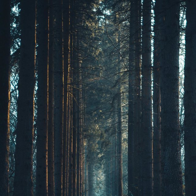 Soothing Calm Sound
