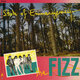 Cover art for album State of Emmergency by The Fizz