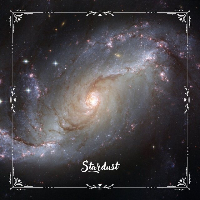 Stardust