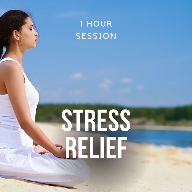 Relaxing Music for Stress Relief, 1 Hour Session