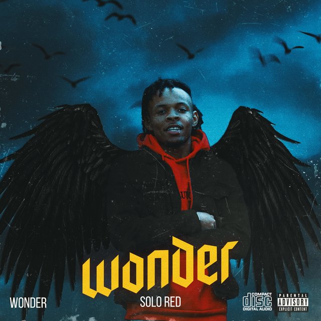 Wonder