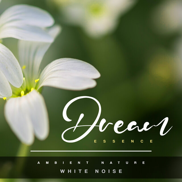 Dream Essence