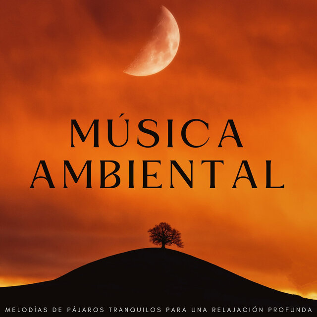 Música Ambiental: Melodías De Pájaros Tranquilos Para Una Relajación Profunda