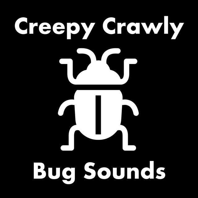 Creepy Crawly Bug Sounds