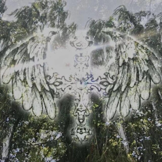 2pieces