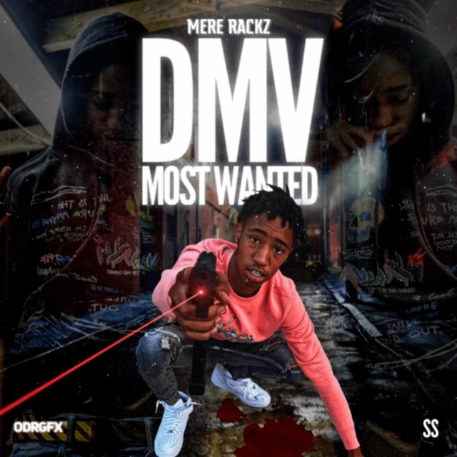 DMV Most Wanted