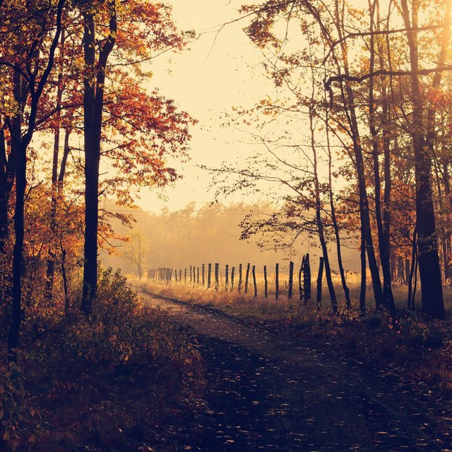Nature's Calm
