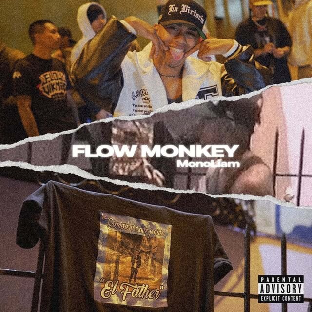 FLOW MONKEY