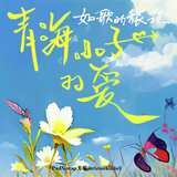 青海小子的爱