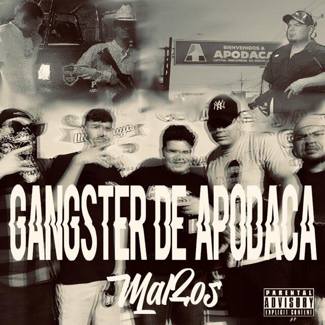 GANGSTER DE APODACA