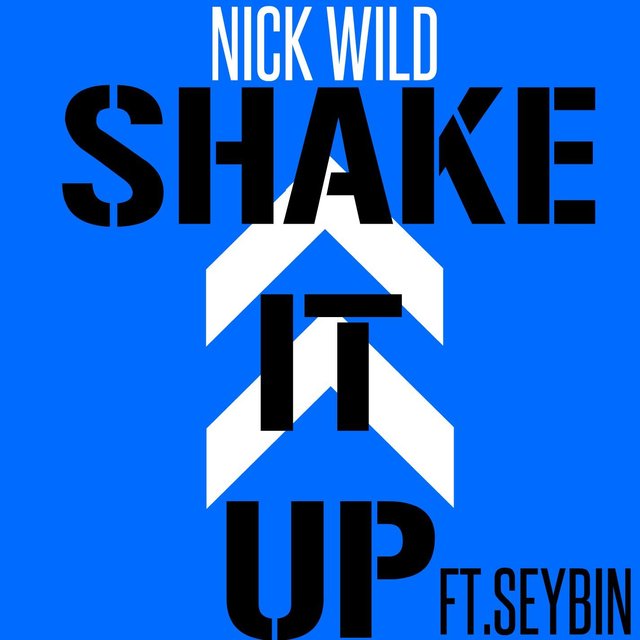 Shake It Up (feat. Seybin)