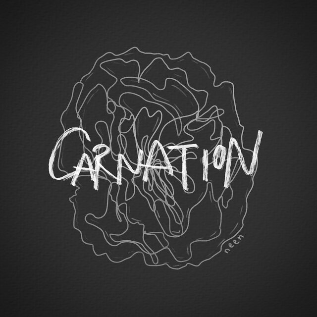 Carnation