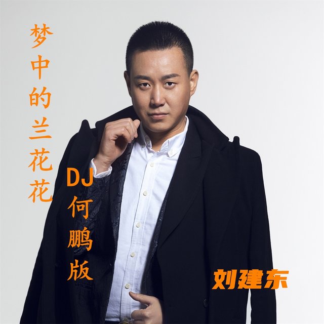 梦中的兰花花 (Dj何鹏版)