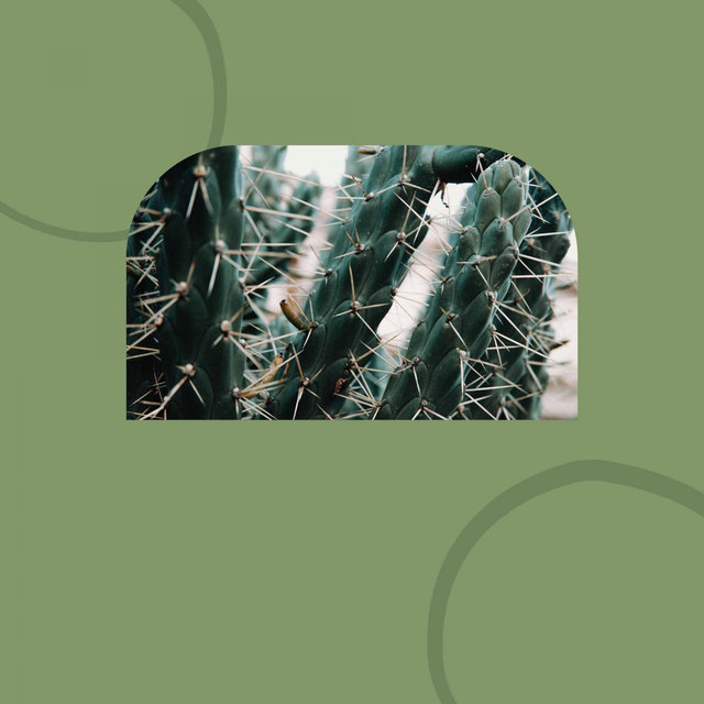Jazz with Strings - Music for Enjoying Nature